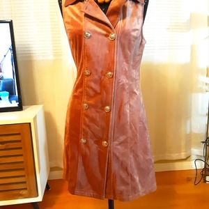 Velvety Double Breasted Dress